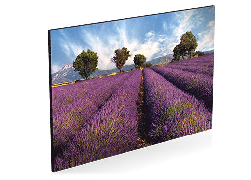 Foto Quadro Piuma