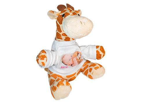 Stampa foto su peluche